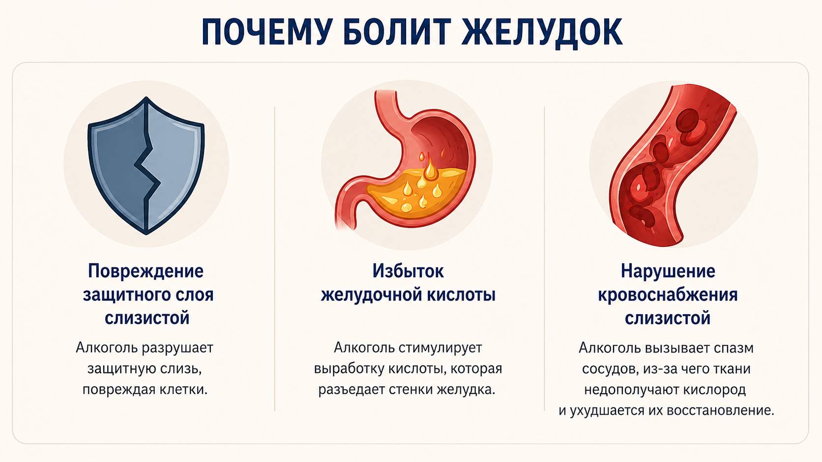 Инфографика: почему болит желудок после запоя